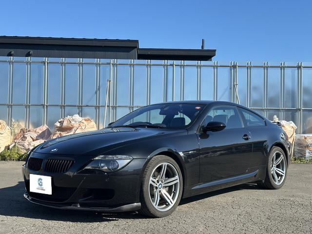 HAMANNフロントスポイラー装着でM6の存在感を更に引き立てる。